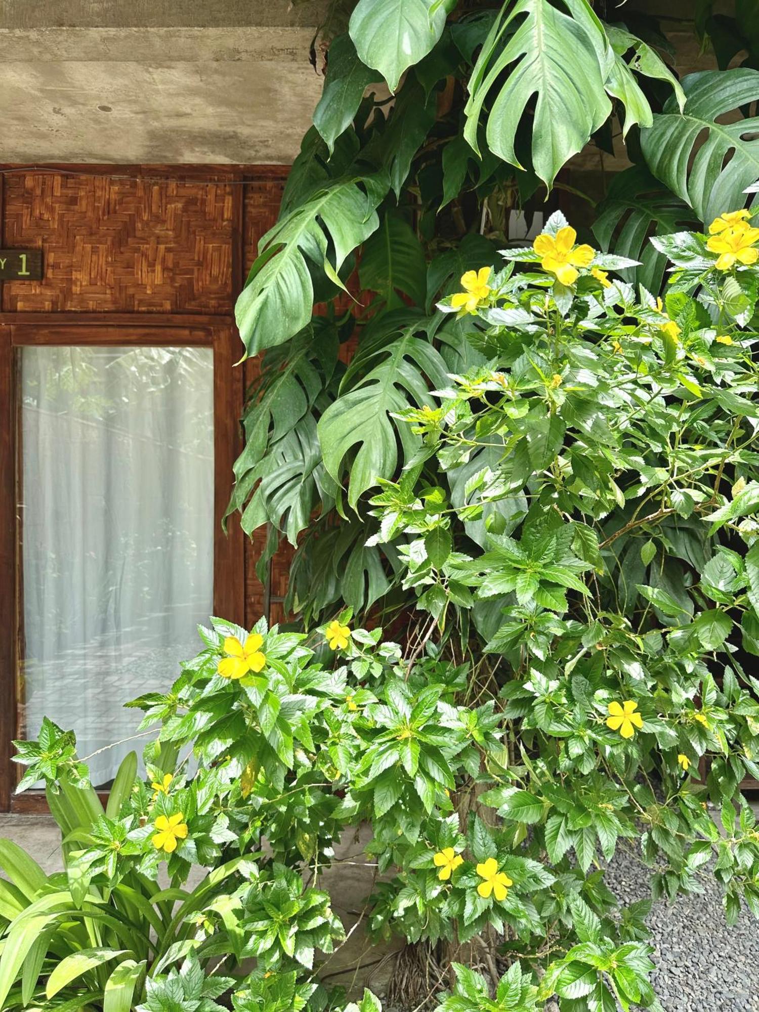 Alpas Siargao Hostel General Luna  Exterior photo
